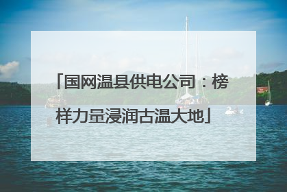 国网温县供电公司：榜样力量浸润古温大地