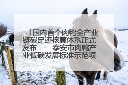 国内首个肉鸭全产业链碳足迹核算体系正式发布——泰安市肉鸭产业低碳发展标准示范项目顺利通过验收
