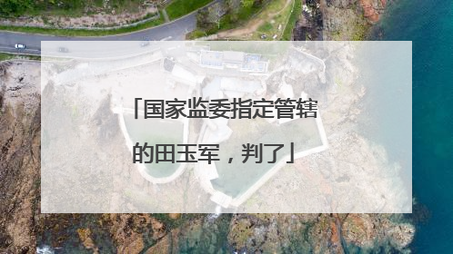 国家监委指定管辖的田玉军，判了