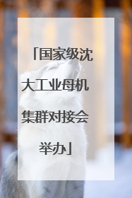 国家级沈大工业母机集群对接会举办