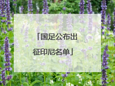 国足公布出征印尼名单