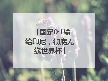 国足0:1输给印尼，彻底无缘世界杯
