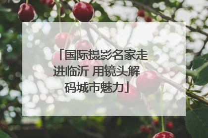 国际摄影名家走进临沂 用镜头解码城市魅力