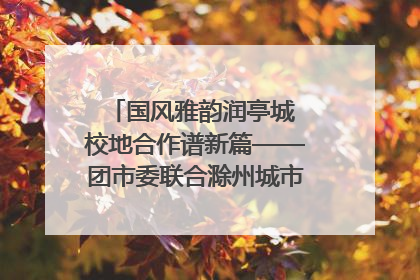 国风雅韵润亭城 校地合作谱新篇——团市委联合滁州城市职业学院助力传统文化“破圈”绽放