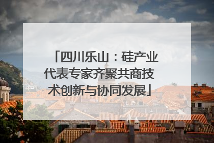 四川乐山：硅产业代表专家齐聚共商技术创新与协同发展