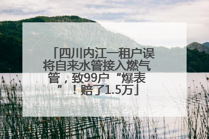 四川内江一租户误将自来水管接入燃气管，致99户“爆表”！赔了1.5万