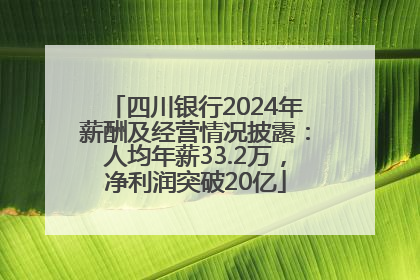 四川银行2024年薪酬及经营情况披露：人均年薪33.2万，净利润突破20亿