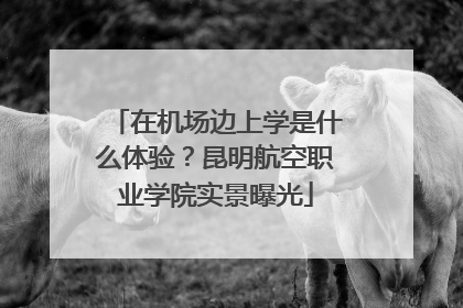 在机场边上学是什么体验？昆明航空职业学院实景曝光