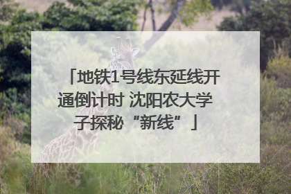 地铁1号线东延线开通倒计时 沈阳农大学子探秘“新线”
