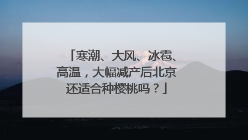寒潮、大风、冰雹、高温，大幅减产后北京还适合种樱桃吗？