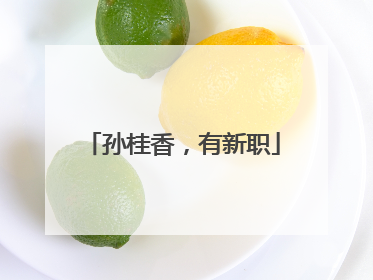 孙桂香，有新职