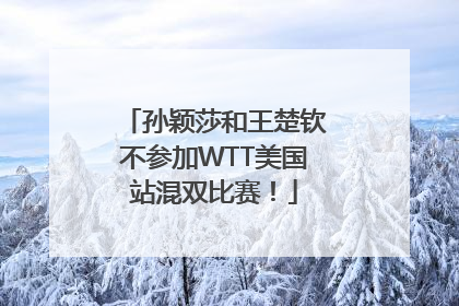 孙颖莎和王楚钦不参加WTT美国站混双比赛！