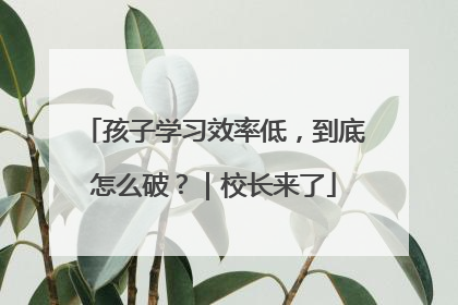 孩子学习效率低，到底怎么破？｜校长来了