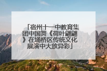 宿州十一中教育集团中国舞《荷叶翩翩》在埇桥区传统文化展演中大放异彩