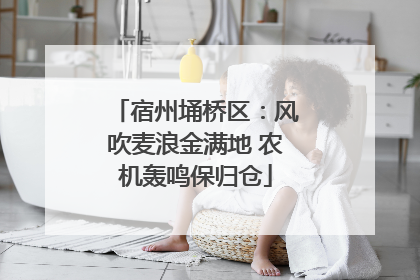 宿州埇桥区：风吹麦浪金满地 农机轰鸣保归仓