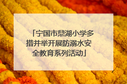 宁国市鼎湖小学多措并举开展防溺水安全教育系列活动