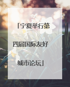 宁夏举行第四届国际友好城市论坛