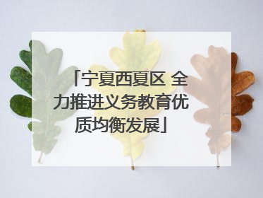 宁夏西夏区 全力推进义务教育优质均衡发展