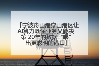 宁波舟山港穿山港区让AI算力既懂业务又能决策 20年的数据“喂”出更聪明的港口