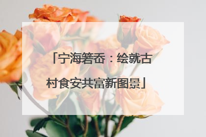 宁海箬岙：绘就古村食安共富新图景