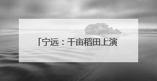 宁远：千亩稻田上演 “智慧种田” 升级