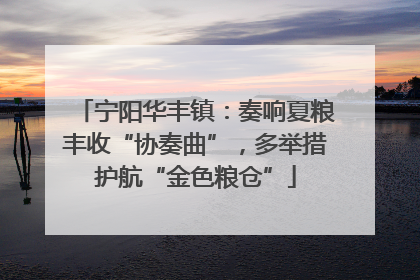 宁阳华丰镇：奏响夏粮丰收“协奏曲”，多举措护航“金色粮仓”