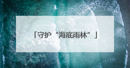 守护“海底雨林”