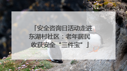 安全咨询日活动走进东湖村社区：老年居民收获安全“三件宝”