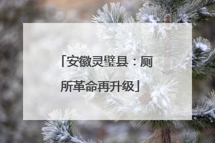 安徽灵璧县：厕所革命再升级