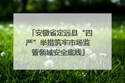 安徽省定远县“四严”举措筑牢市场监管领域安全底线