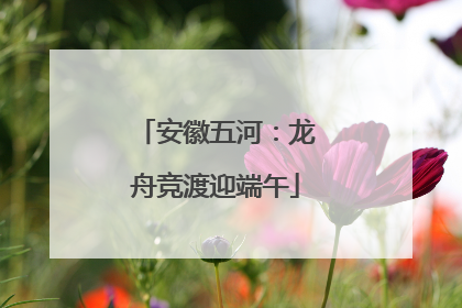 安徽五河：龙舟竞渡迎端午