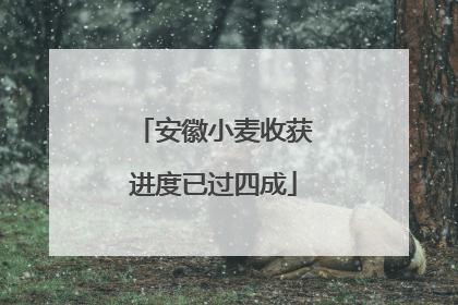 安徽小麦收获进度已过四成