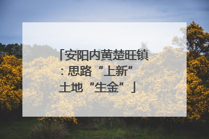 安阳内黄楚旺镇：思路“上新” 土地“生金”