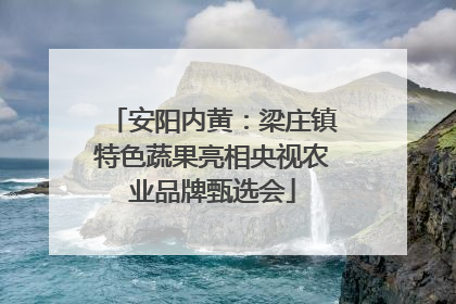安阳内黄：梁庄镇特色蔬果亮相央视农业品牌甄选会