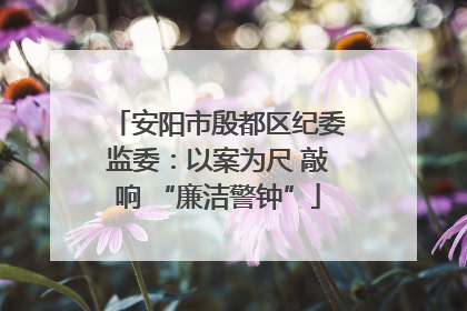 安阳市殷都区纪委监委：以案为尺 敲响 “廉洁警钟”