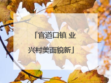 官道口镇 业兴村美面貌新
