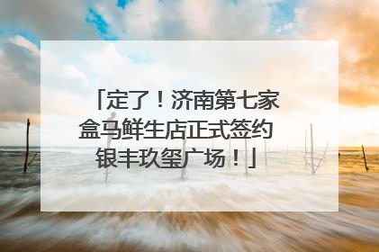 定了！济南第七家盒马鲜生店正式签约银丰玖玺广场！