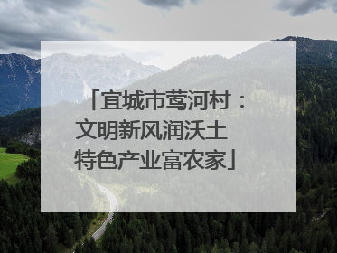 宜城市莺河村：文明新风润沃土 特色产业富农家