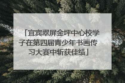 宜宾翠屏金坪中心校学子在第四届青少年书画传习大赛中斩获佳绩