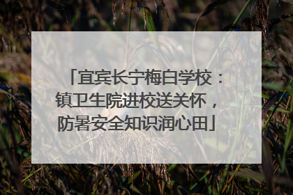 宜宾长宁梅白学校：镇卫生院进校送关怀，防暑安全知识润心田