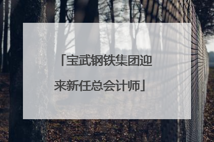 宝武钢铁集团迎来新任总会计师