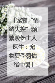 宠物“情绪失控”频繁咬伤主人 医生：宠物夏季易情绪中暑
