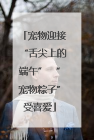 宠物迎接“舌尖上的端午” “宠物粽子”受喜爱