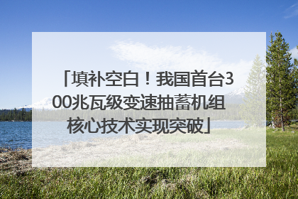 填补空白！我国首台300兆瓦级变速抽蓄机组核心技术实现突破