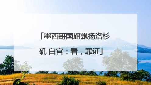 墨西哥国旗飘扬洛杉矶 白宫：看，罪证