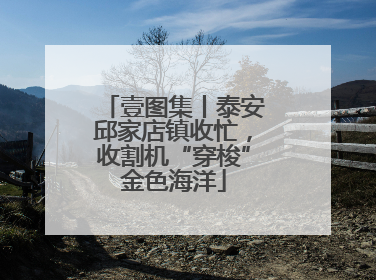 壹图集丨泰安邱家店镇收忙，收割机“穿梭”金色海洋