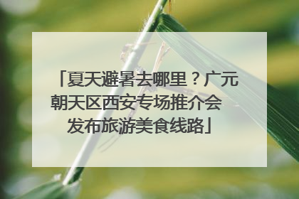 夏天避暑去哪里？广元朝天区西安专场推介会 发布旅游美食线路