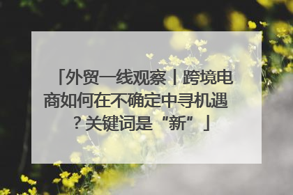 外贸一线观察丨跨境电商如何在不确定中寻机遇？关键词是“新”