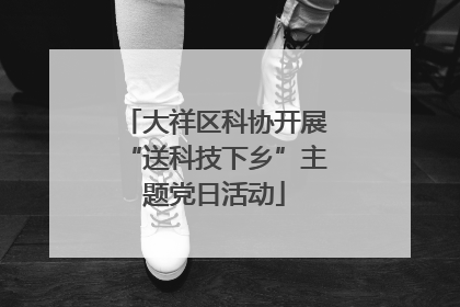 大祥区科协开展“送科技下乡”主题党日活动