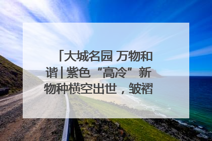 大城名园 万物和谐│紫色“高冷”新物种横空出世，皱褶叶片暗藏进化密码